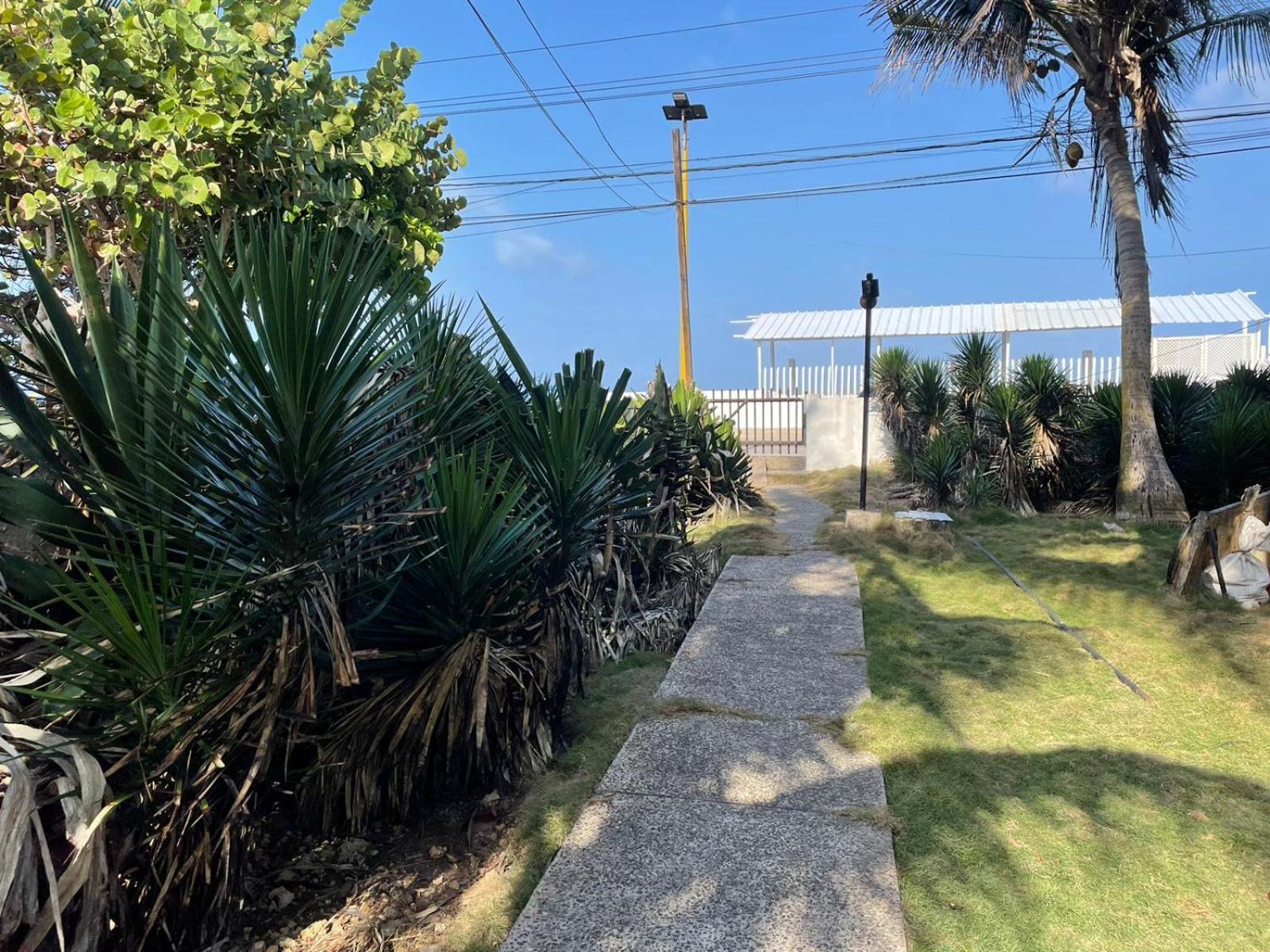Caribbean Queen - Apartamento Con Vista Al Jardin #2 San Andres  Exterior photo